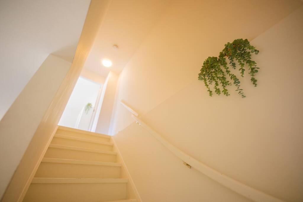 Lovely 3 Bedroom Apartment In Eindhoven 65M2 - Sd23N Kültér fotó